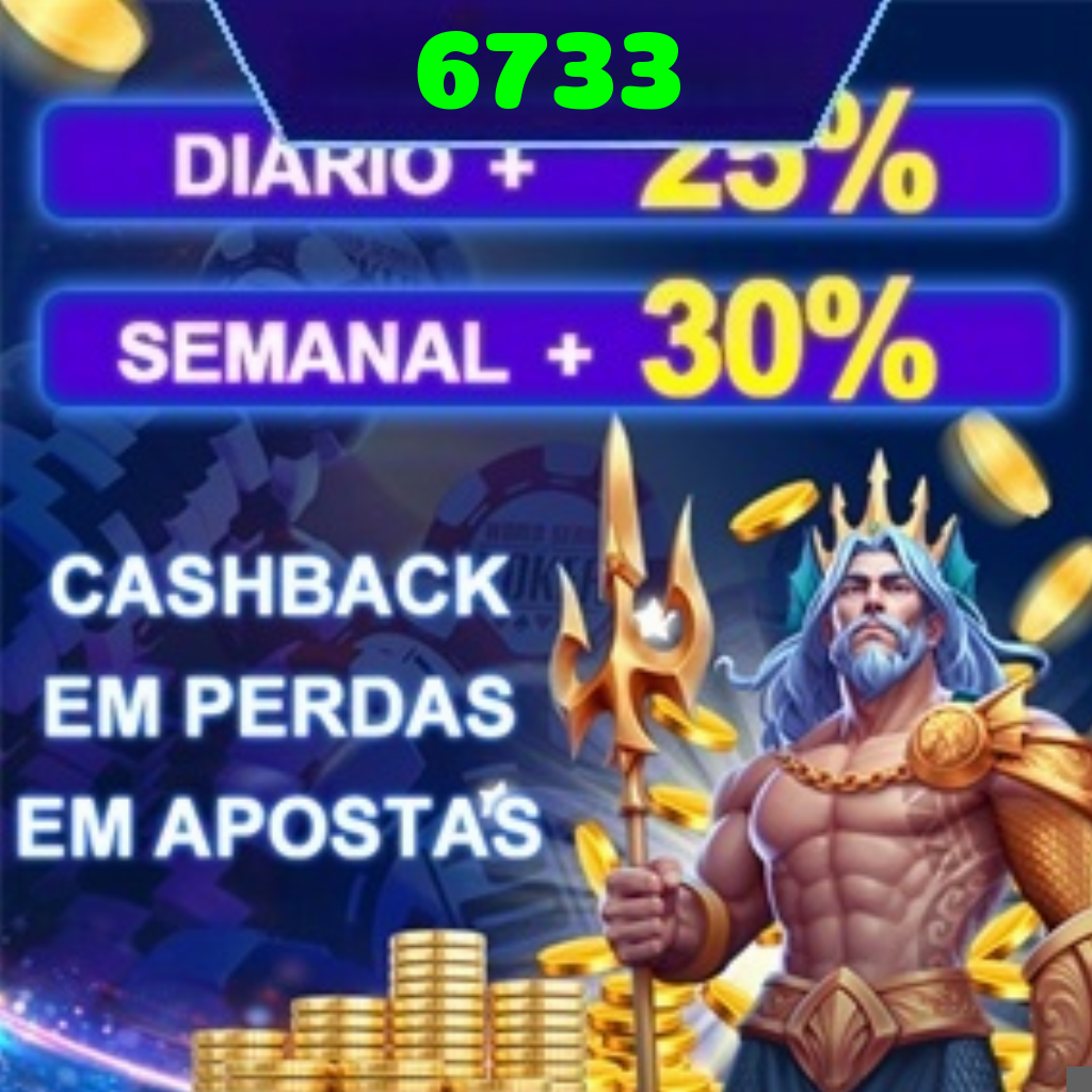 6733 Rebate